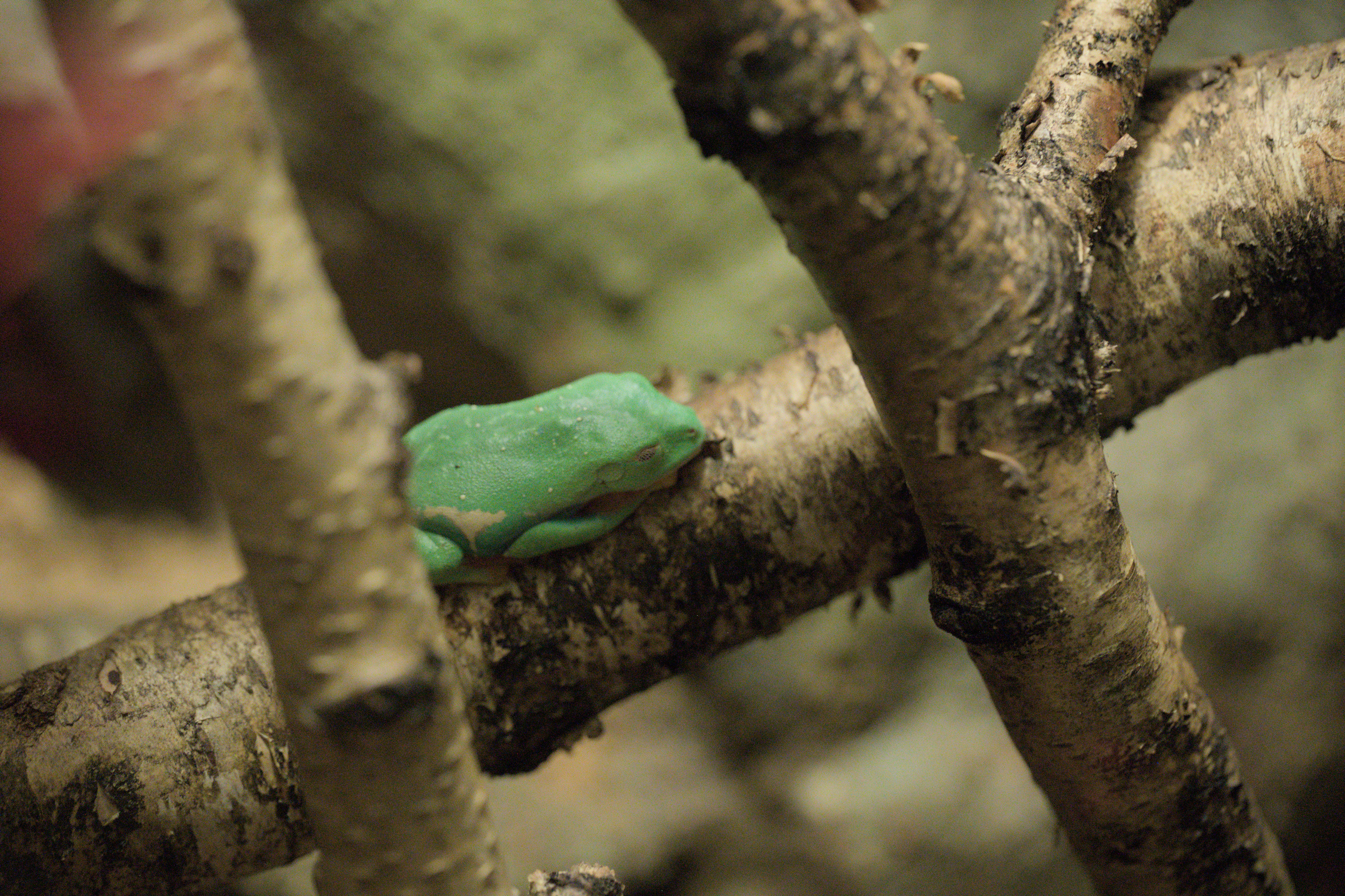 2025/10/12 - zoo/DSC_0248.jpg